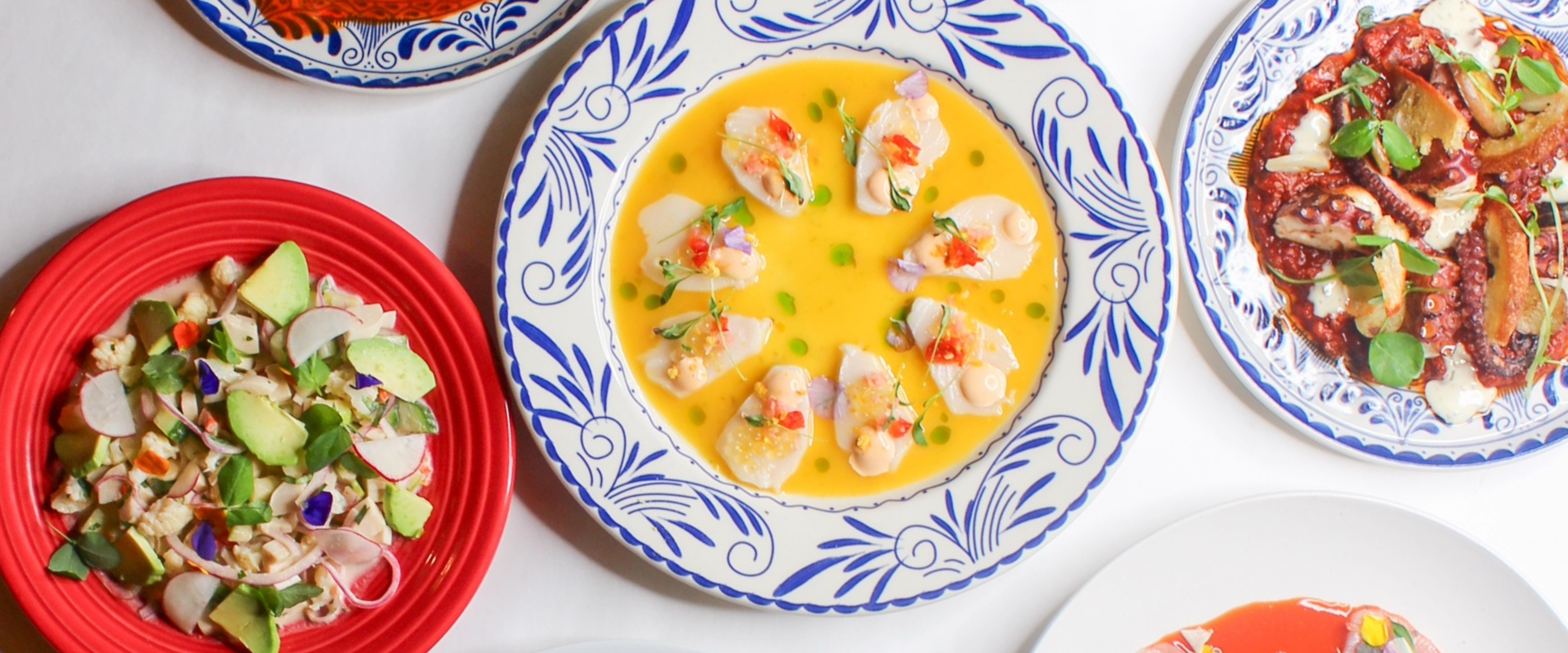 Header Image - Desktop